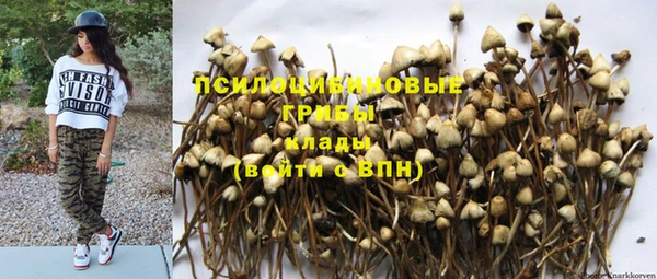 Альфа ПВП Алексеевка