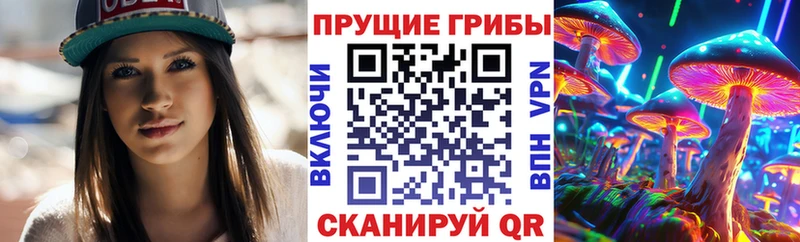 Галлюциногенные грибы прущие грибы  ОМГ ОМГ маркетплейс  Фатеж 
